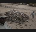 oreigalegodeafrica04.jpg