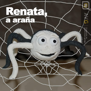 Renata, a araa