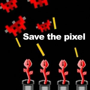 Salven o pxel
