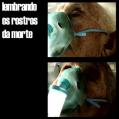 lembrandoosrostrosdamorte.jpg