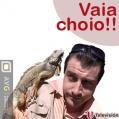 vaiachoio.jpg