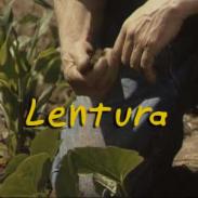 lentura.jpg