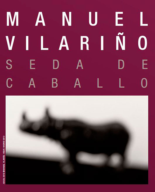 Imaxe da exposición de Manuel Vilariño