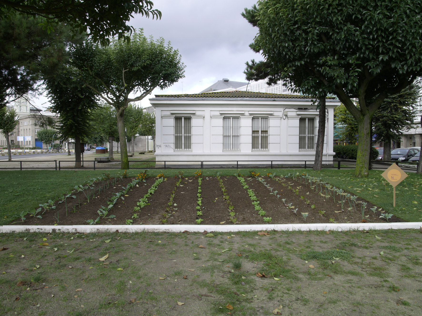 Tania Sanjurjo, <i>Agricultural Network</i>, horta urbana.