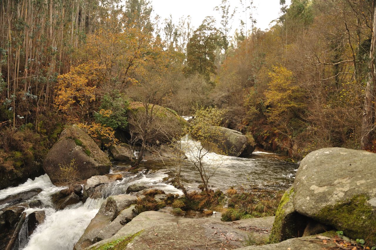 Río Troncedo. Mondoñedo.