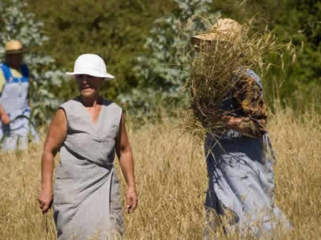 Escenas para o outono