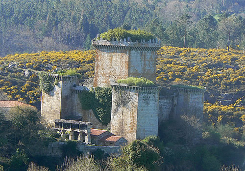 Detalle Castelo de Pambre