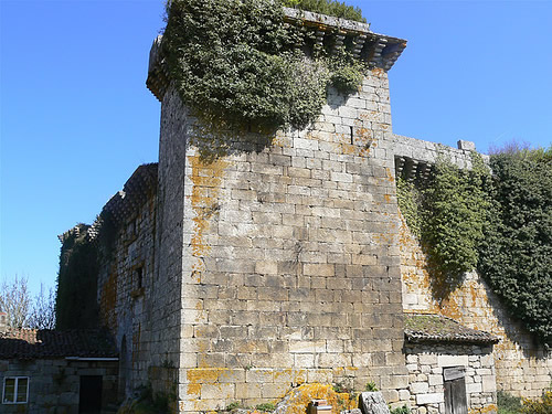 Detalle do Castelo de Pambre