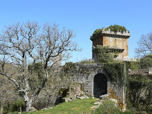 Detalle do Castelo de Pambre