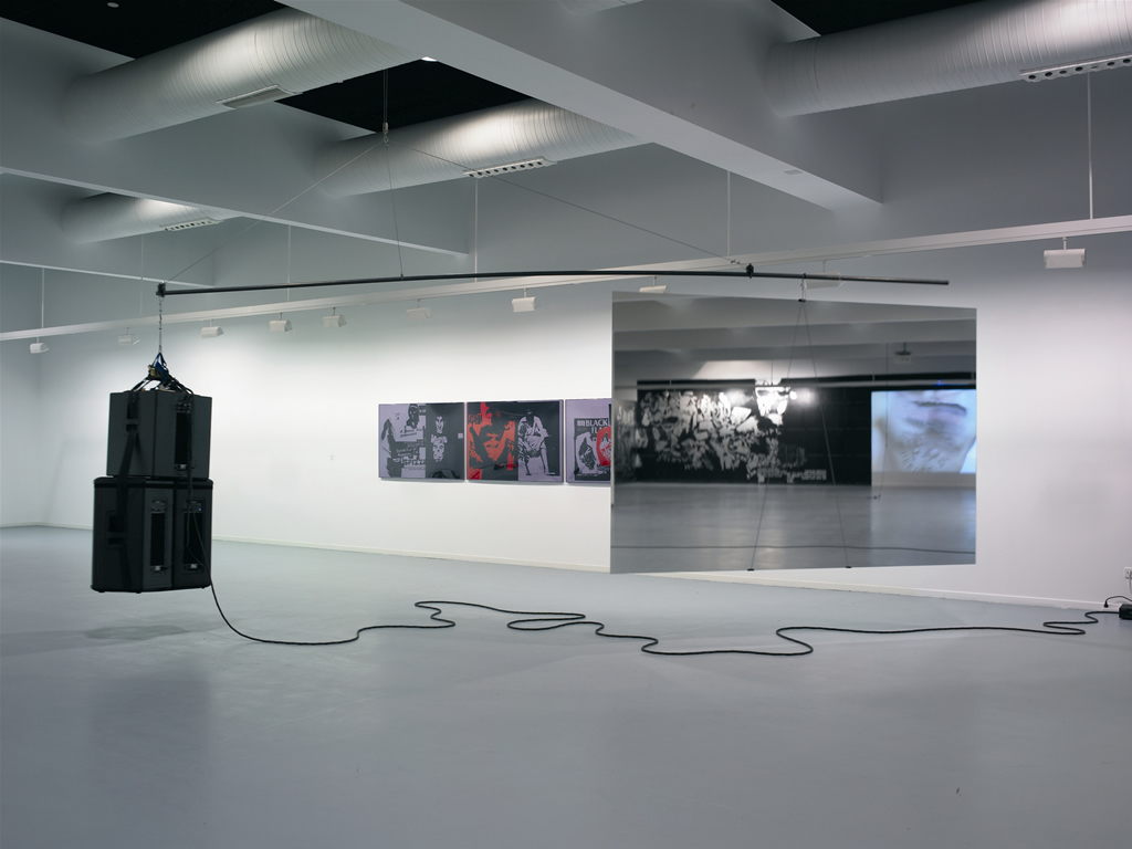 <i>Consumiendo Juventud</i>
[Vista de la instalación en el Museo de Arte Contemporáneo UNION FENOSA  MACUF, A Coruña, España]