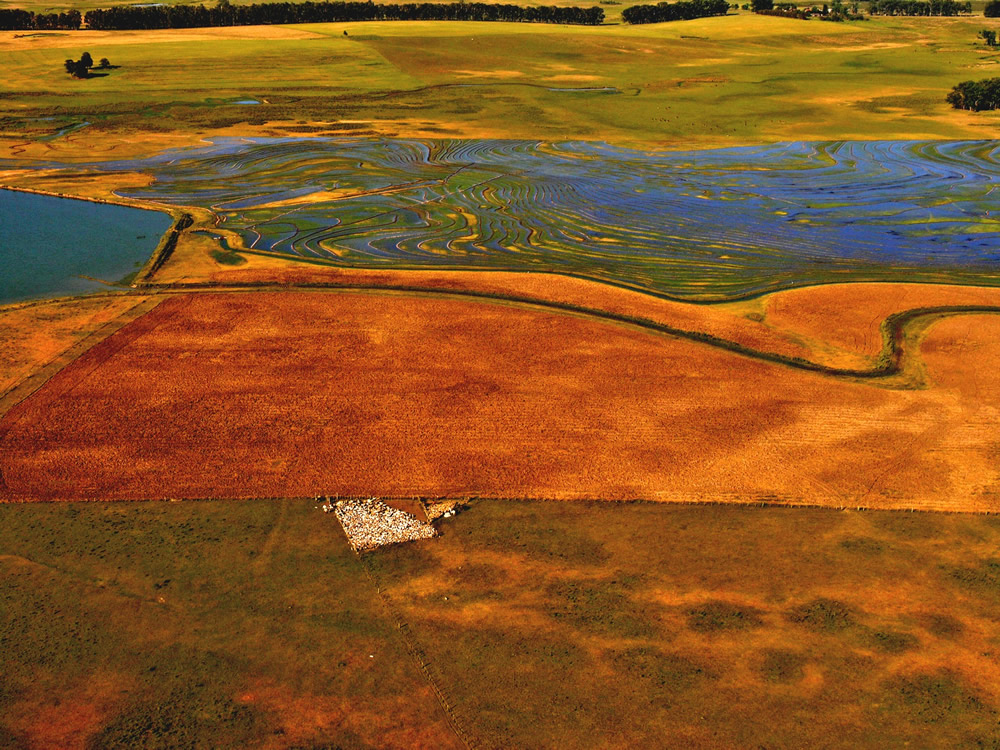 Uruguai