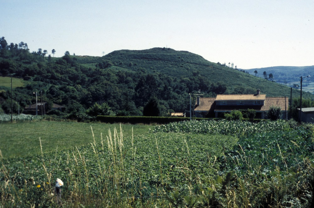 Castro na comarca da Terra de Lemos