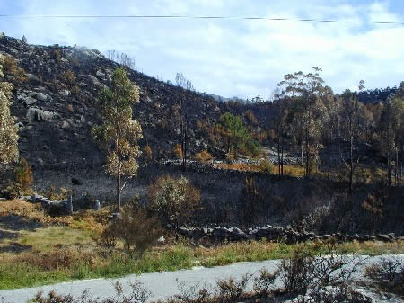 Efectos dos incendios sobre os petróglifos