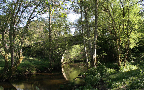 Ponte Mandrás. Foto: Etnoga