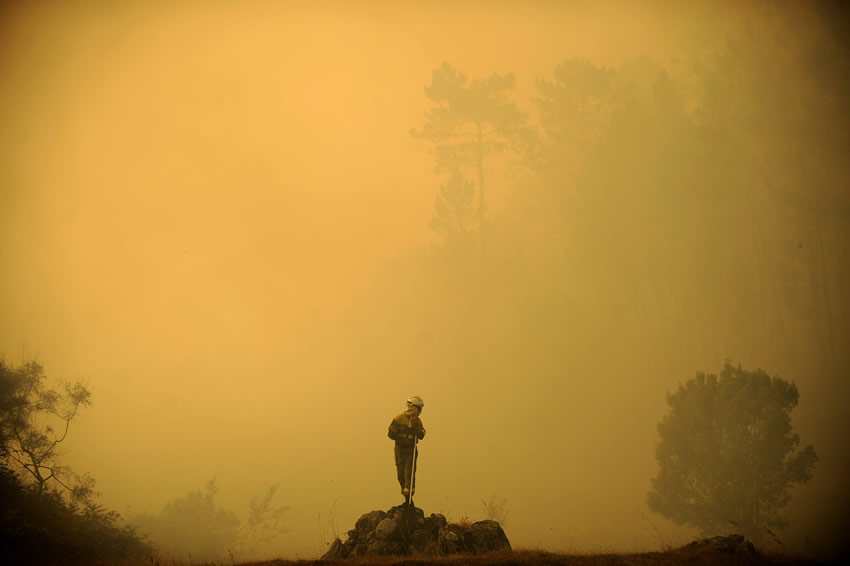 Foto: Pedro Armestre