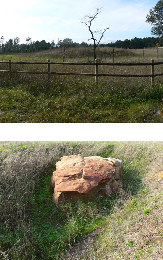 O dolmen de Chousa Nova recuperado na súa ubicación orixinal. Foto: Gabinete de Arqueoloxía