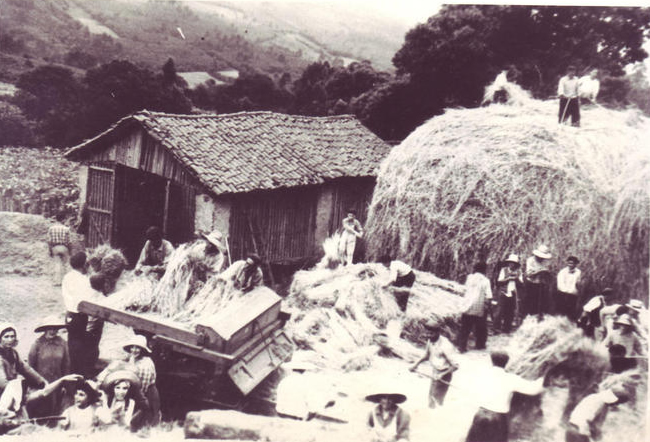 Mallando no muiño de Tembrás Muiño de Tembrás, Lamas, 1963