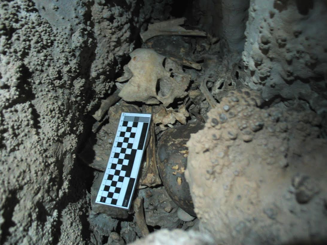 Restos humanos da Idade do Bronce na Cova do Santo. Foto: Equipo de investigación