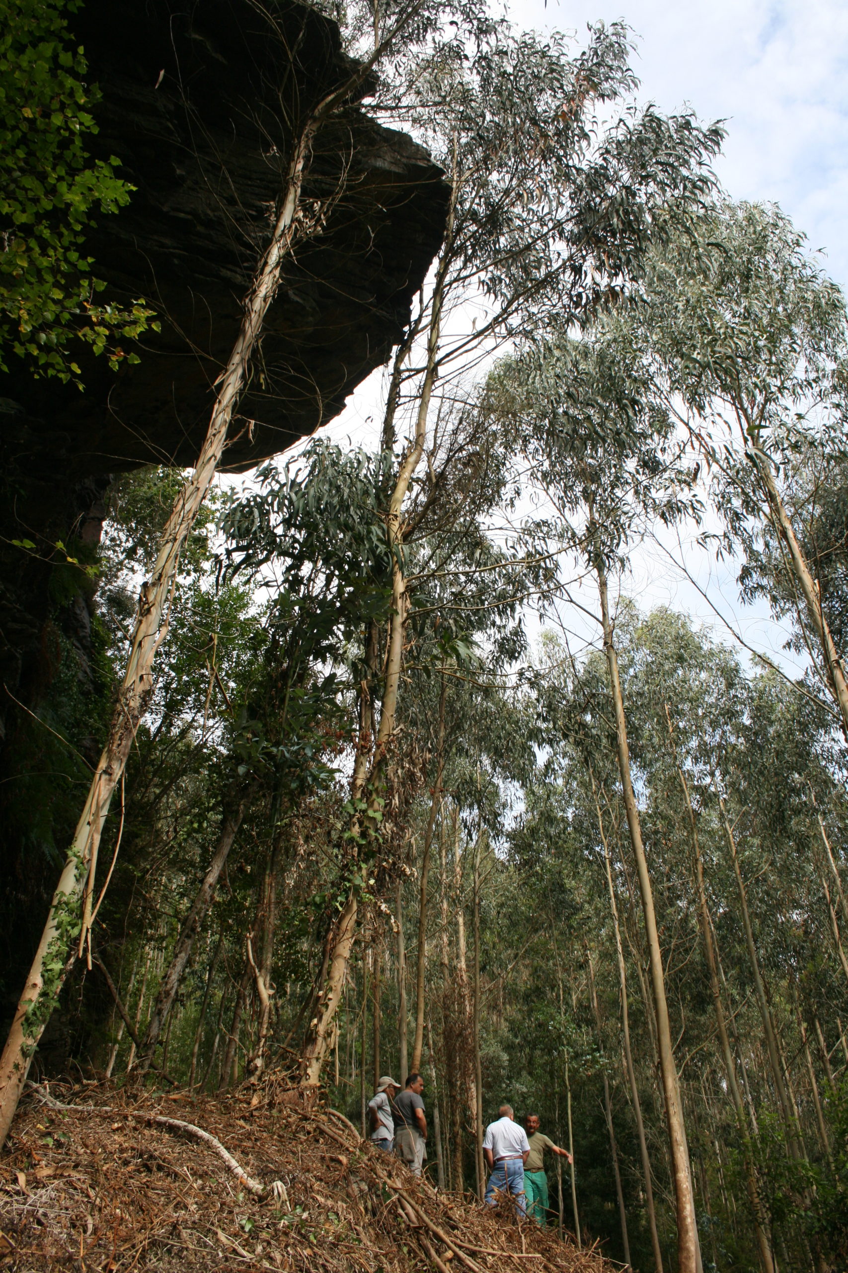 O abrigo natural na parcela adquirida. Foto: Mariña Patrimonio