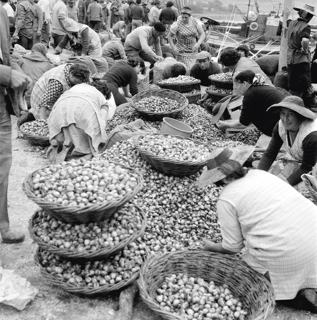 <i>Campaña do berberecho, malecón de Noia</i>, 1975. Pepe <i>O Esteirán</i>