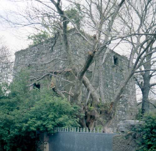 Torre-tulla de Fafián. Fonte: Turismo de Galicia